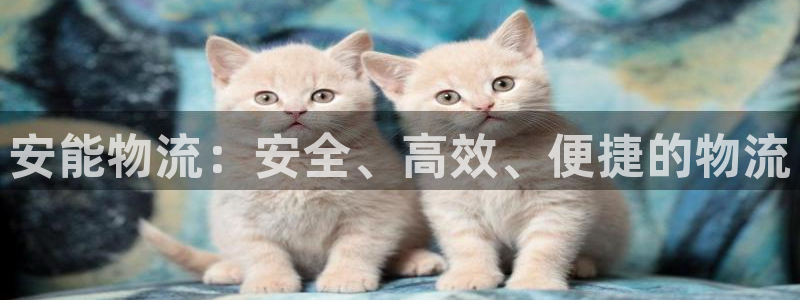28圈是什么是赌博吗?