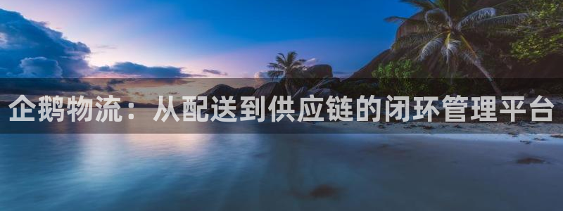 28圈官方平台