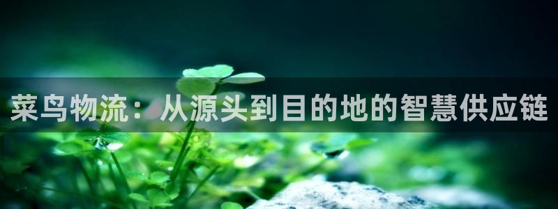 28圈的自行车