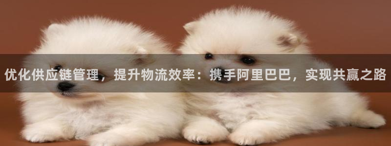 28圈app能退款吗