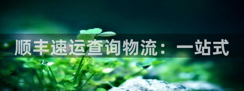 28圈如何看计划