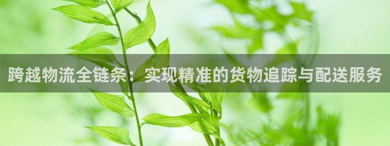 28圈软件是什么