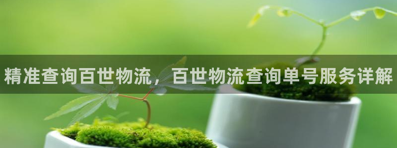 28圈官网链接：精准查询百世物流，百