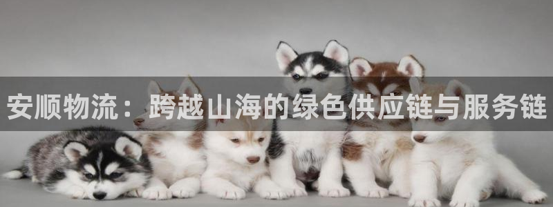 28圈注册登录：安顺物流：跨越山海的