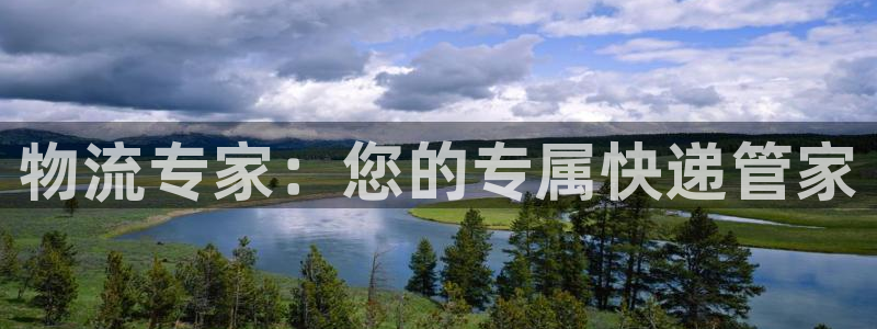 28圈app怎么注销：物流专家：您的