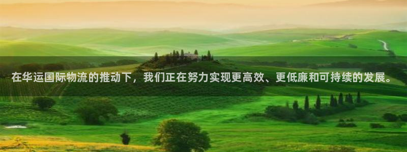 28圈官网链接：在华运国际物流的推动