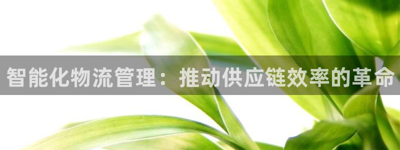28圈注册用户名是什么：智能化物流管
