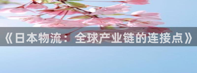 28圈p扣款什么意思：《日本物流：全