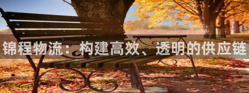 28圈是干嘛的:锦程物流:构建高效、