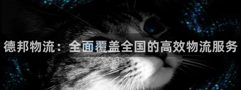 28圈加拿大开奖