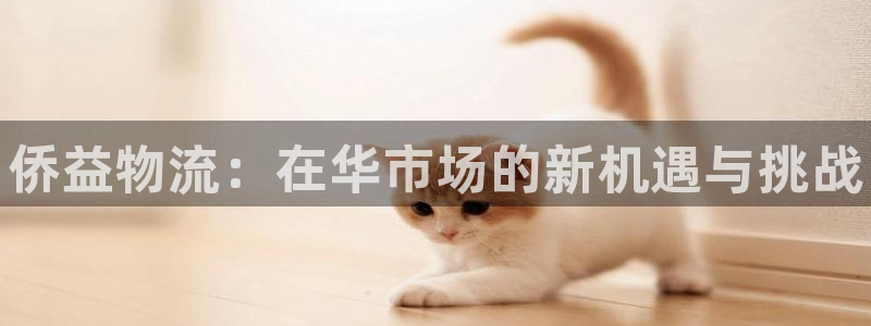 28圈登录不上咋回事：侨益物流：在华