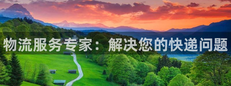 28圈注册问一问：物流服务专家：解决