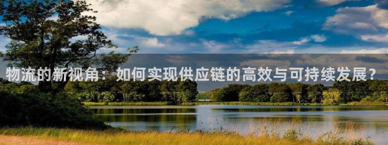 28圈注册与教程：物流的新视角：如何