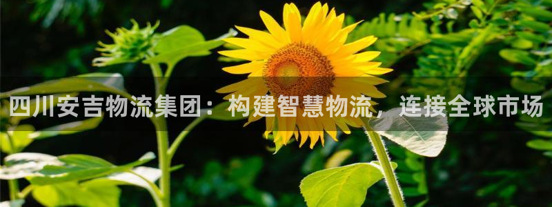 28圈加拿大是什么：四川安吉物流集团
