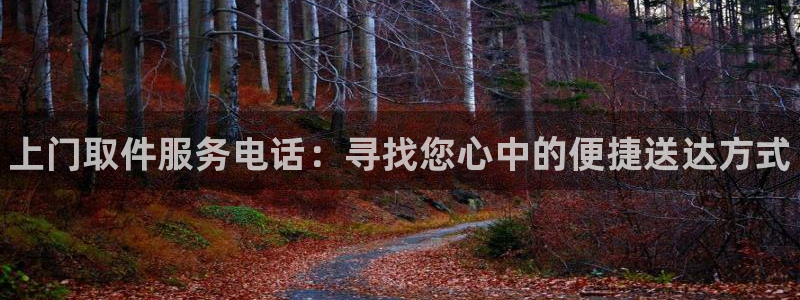 28圈注册网站多少:上门取件服务电话