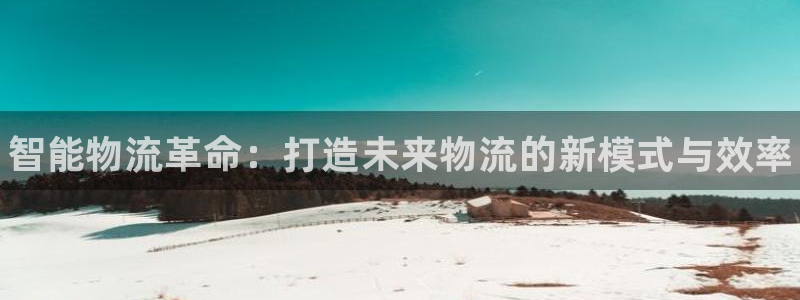 28圈百度百科：智能物流革命：打造未