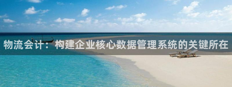 28圈口：物流会计：构建企业核心数据