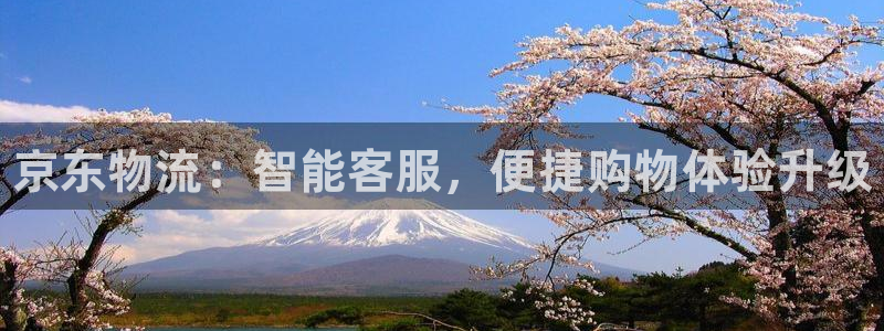 28圈怎么注册：京东物流：智能客服，