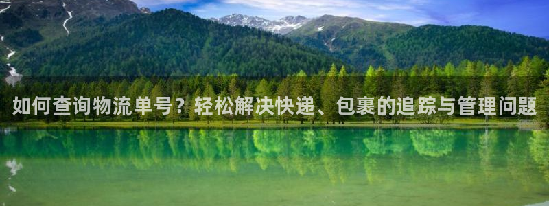 28圈登录不上咋回事：如何查询物流单