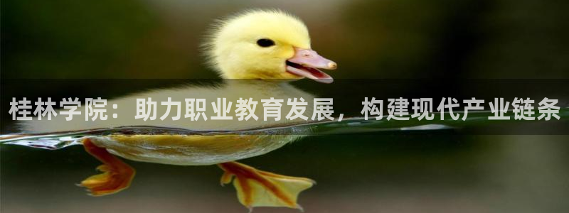 28圈h5链接：桂林学院：助力职业教