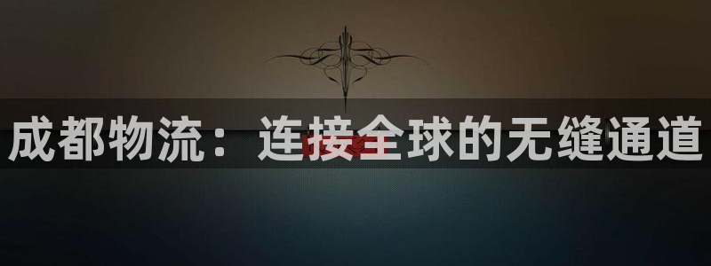 28圈加拿大28：成都物流：连接全球