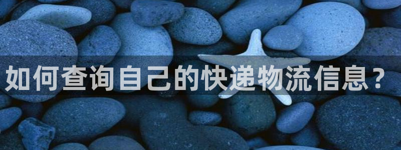 28圈加拿大28：如何查询自己的快递