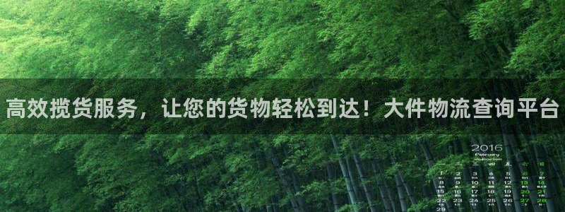 28圈预测加拿大：高效揽货服务，让您