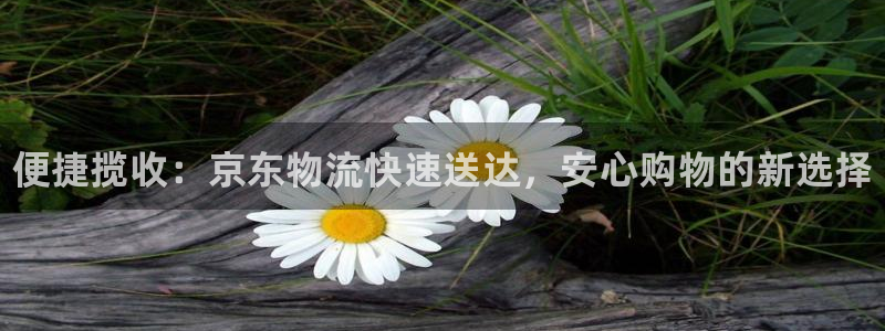 28圈连接：便捷揽收：京东物流快速送