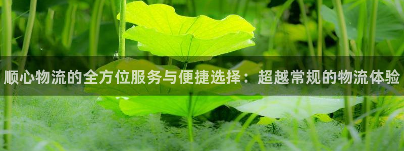 28圈免费：顺心物流的全方位服务与便