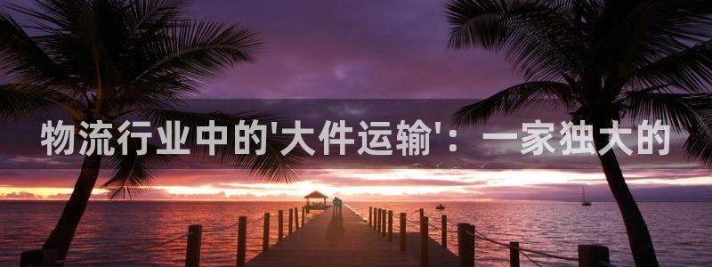 28圈昵称：物流行业中的\'大件运输