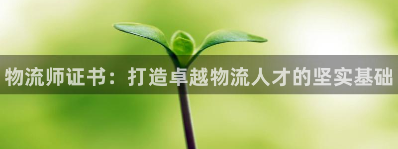 麻将128圈：物流师证书：打造卓越物