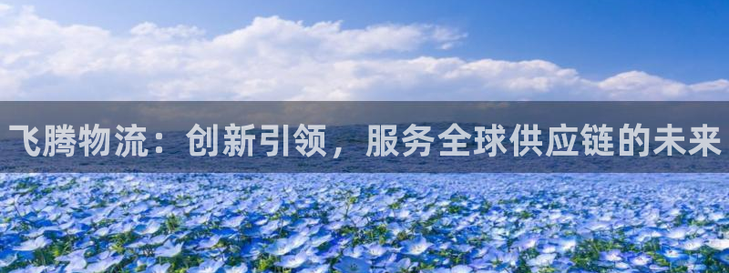 28圈链官网：飞腾物流：创新引领，服